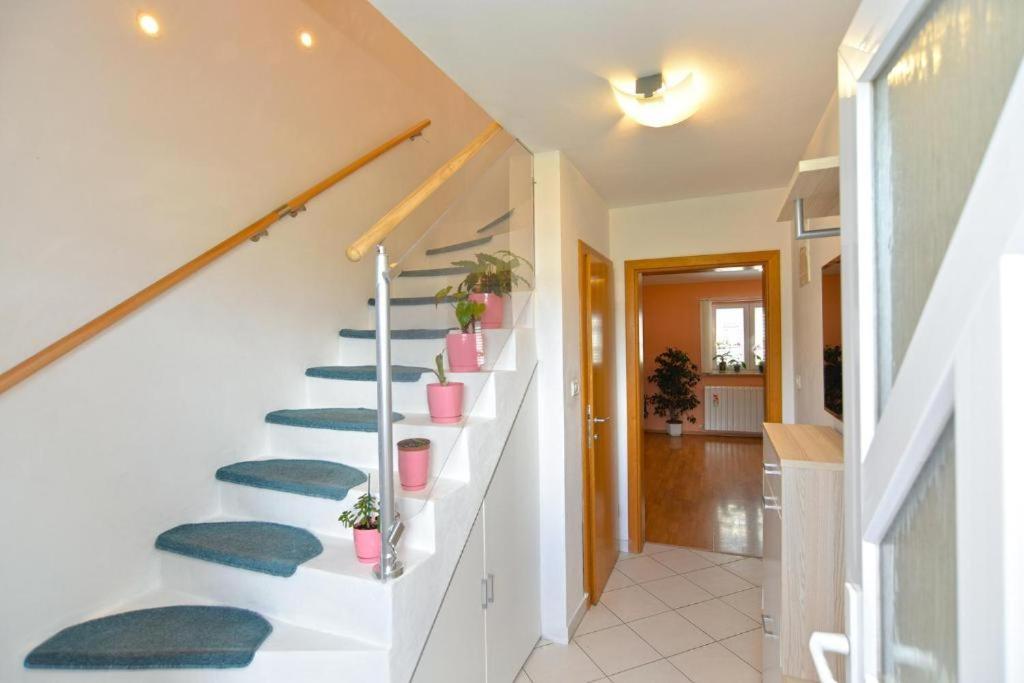 Apartman Eda بولا المظهر الخارجي الصورة